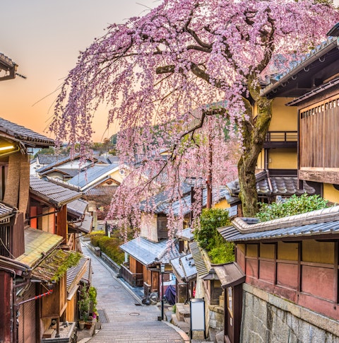 Kyoto, Japan springtime at the historic Higashiyama district