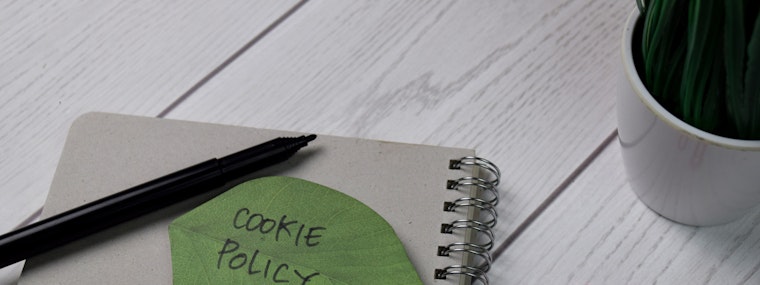 Cookie policy written on a green leaf