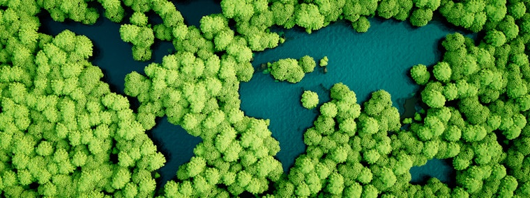 World map created from trees and lakes