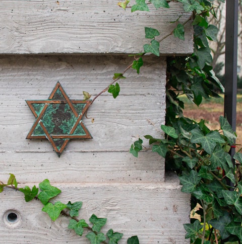 Ivy and star of David on the walls of the Old Jewish Cemetery. Berlin, Germany