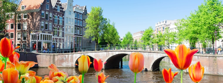 Houses in Amsterdam