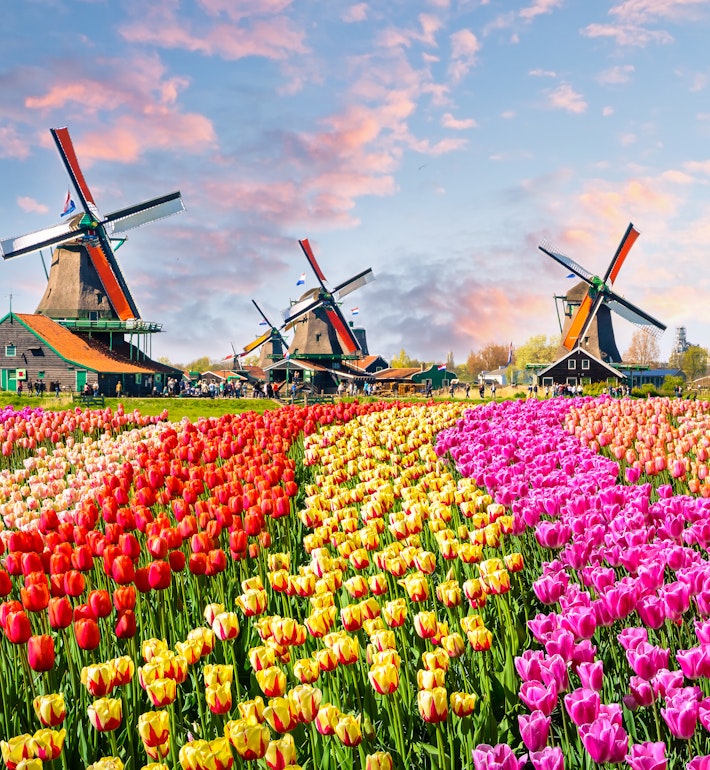 Traditional Dutch Windmills