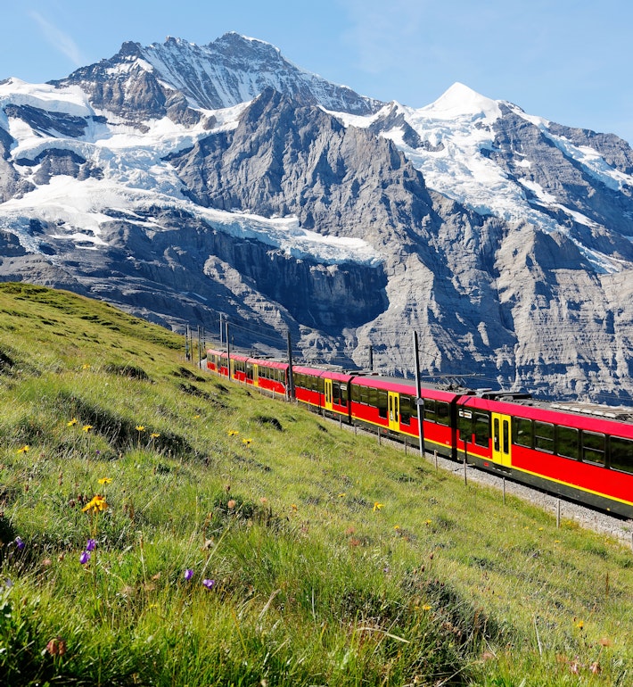 A train in the Swiss Alps
