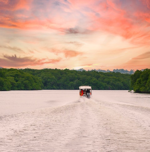 Boating in mangroves