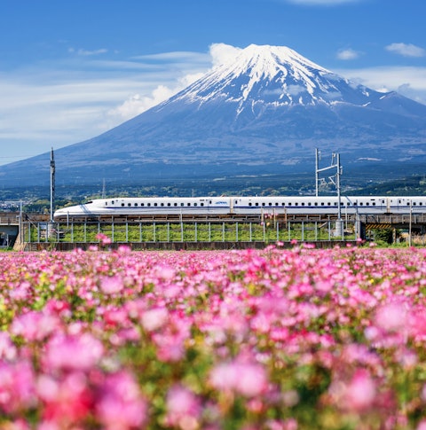 A train in front of Mt.Fuji