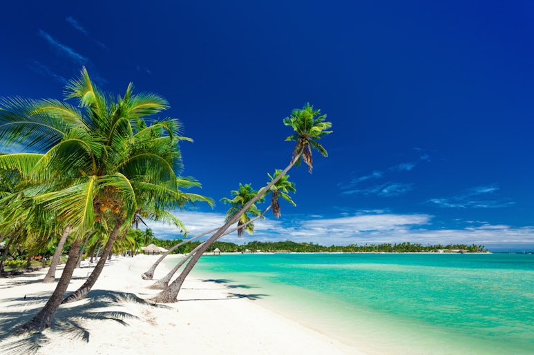 Palm trees over white beach on a a Plantation Island, Fiji, South Pacific