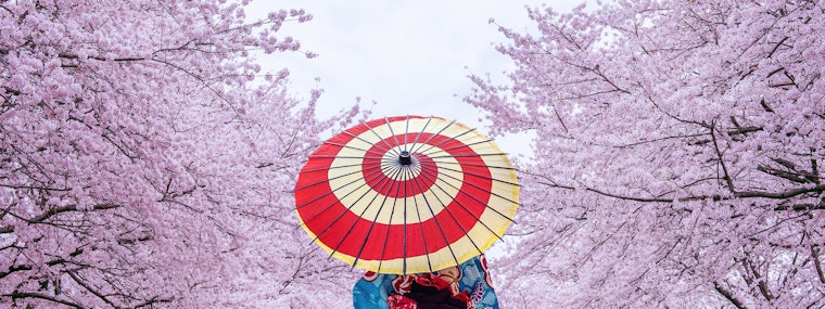 Japanese fashion