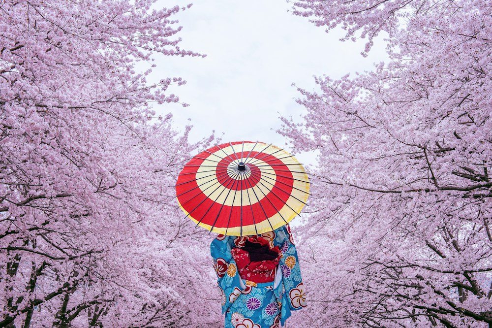 Discovering Tokyo's Fashion Heritage & Modern Scene