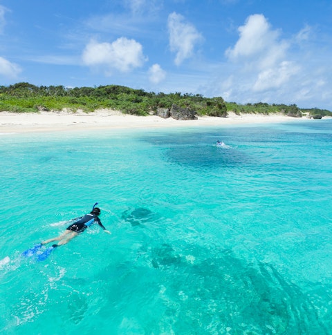Snorkeling