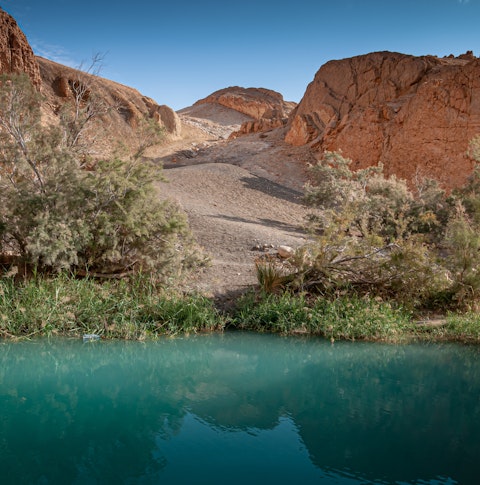 Desert Zoo of Tozeur
