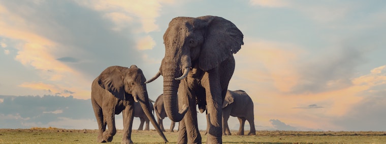 Botswana