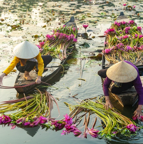 Mekong Delta