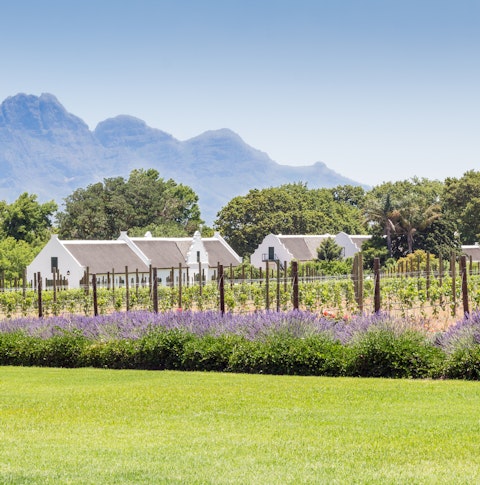 Franschhoek