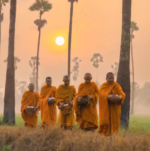 Forestry Monks