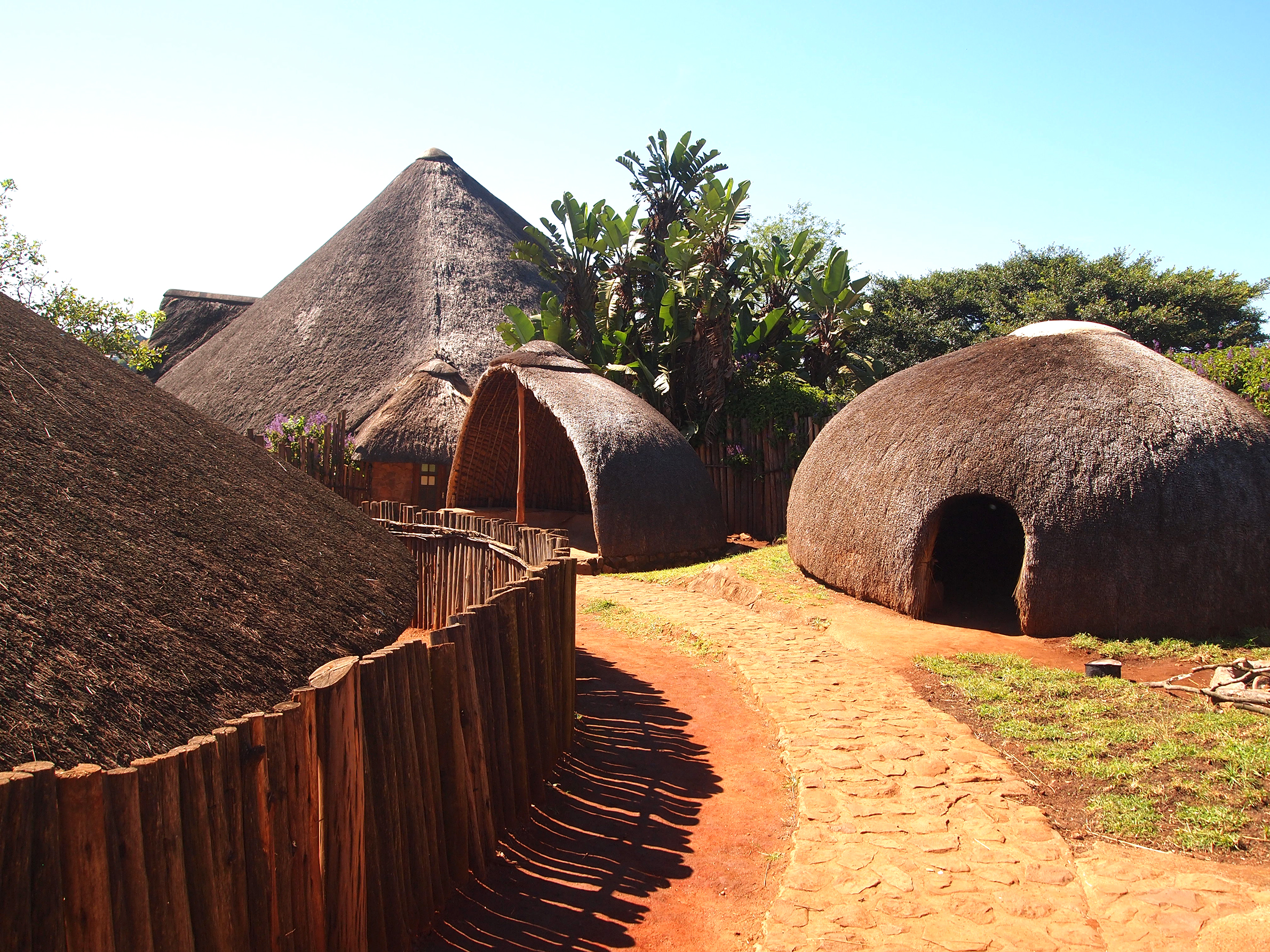 Zululand Uncovered: A Journey of Learning | DGI Study Trips