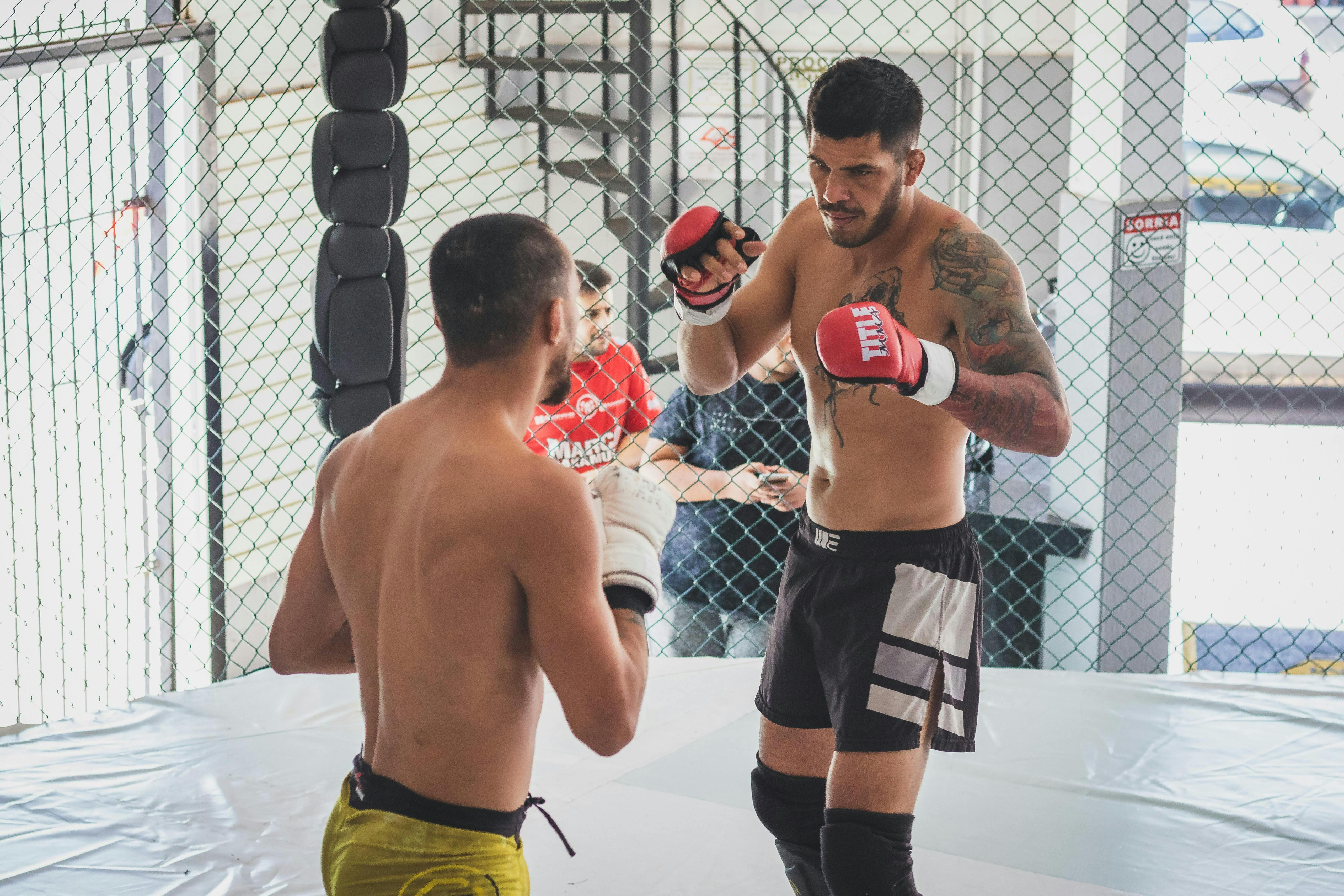 Mixed Martial Arts - MMA