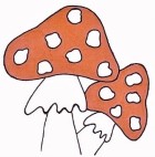 Atelier Wilma Creatief