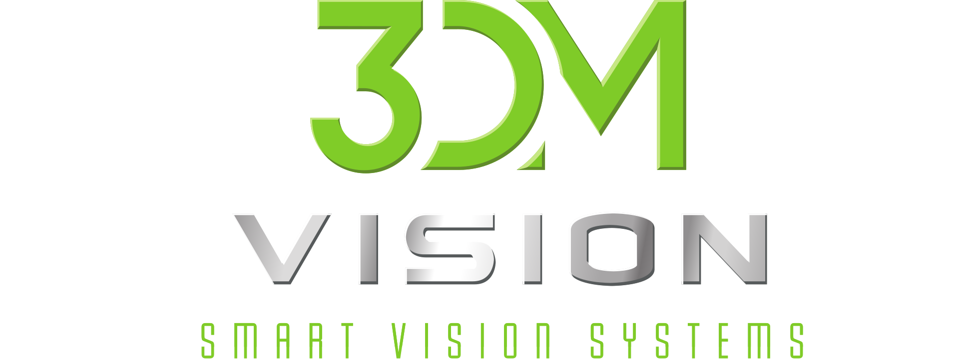 3DM-Vision