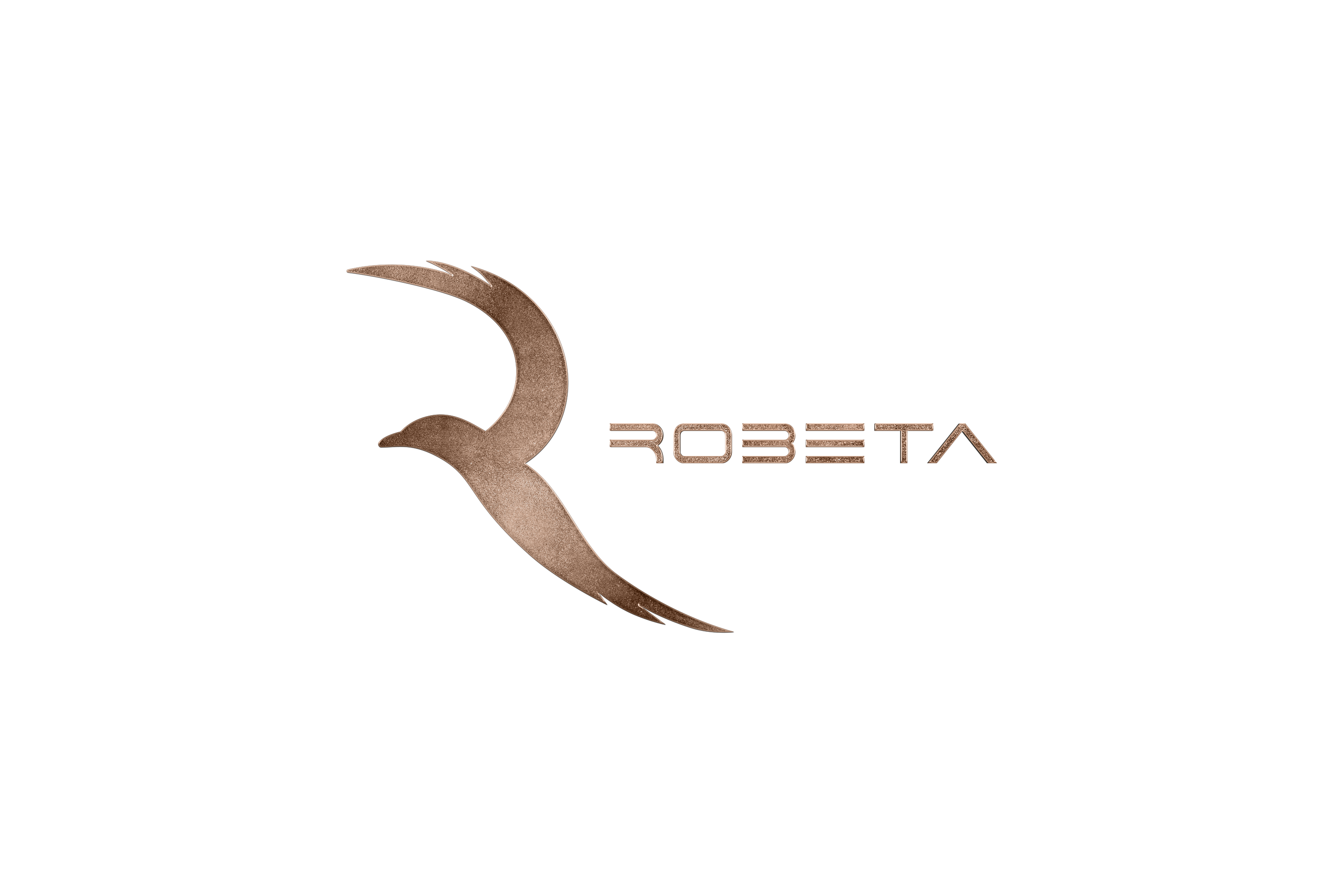 Robeta en Womondo camper vans