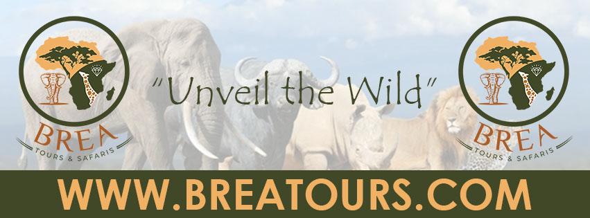 Brea Tours & Safaris