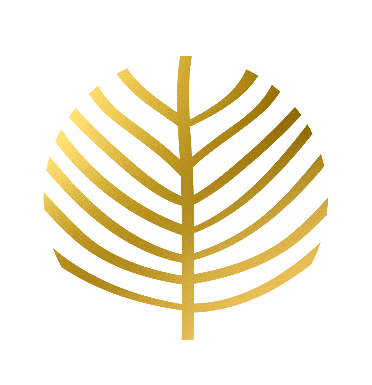 Venson Amsterdam B.V.