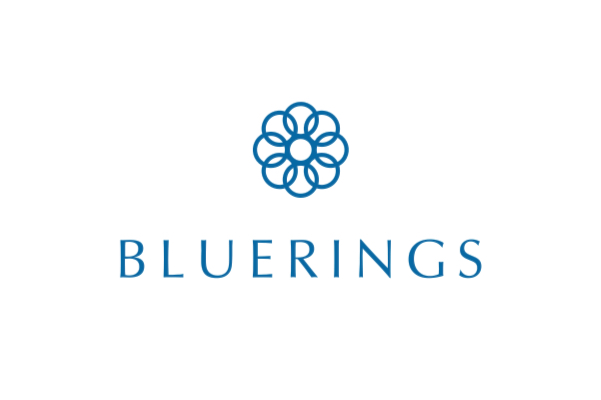 Bluerings bv