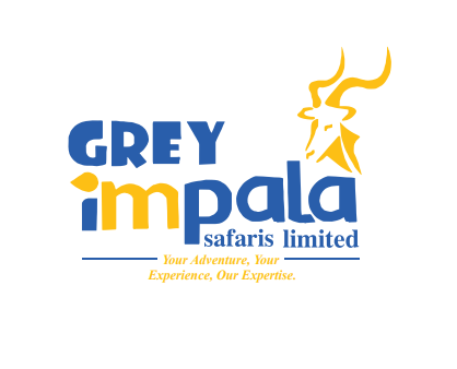 Grey Impala Safaris