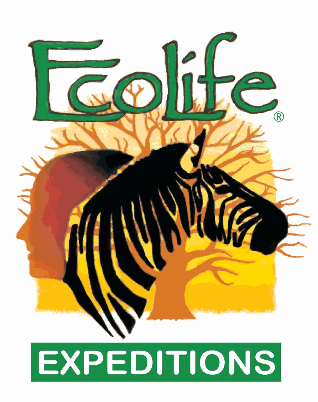 Ecolife Expeditions