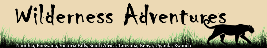 Wilderness Adventures