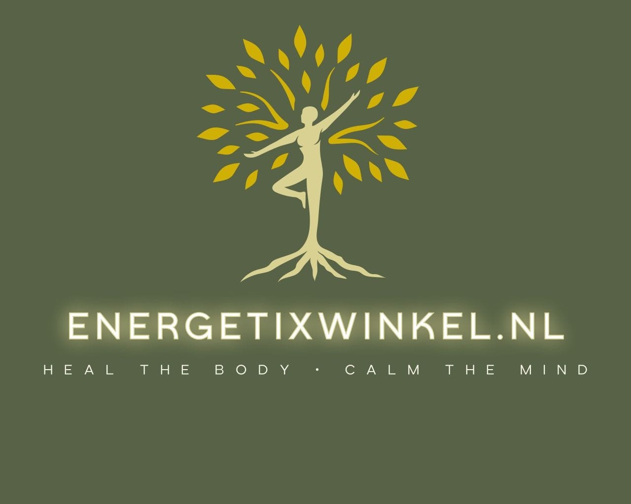 Energetixwinkel.nl