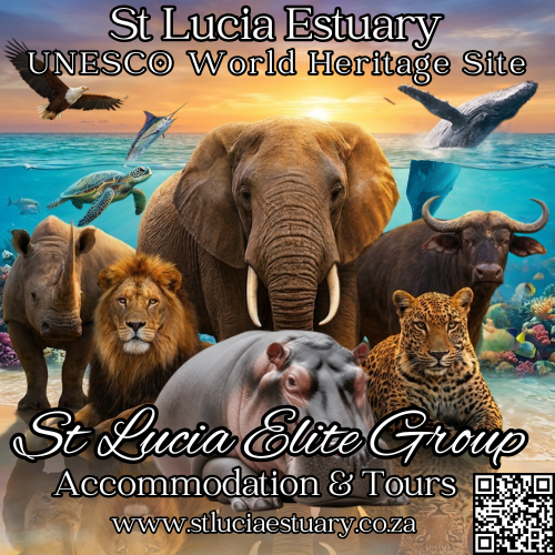 St Lucia SA Elite Group – Tours and Accommodation