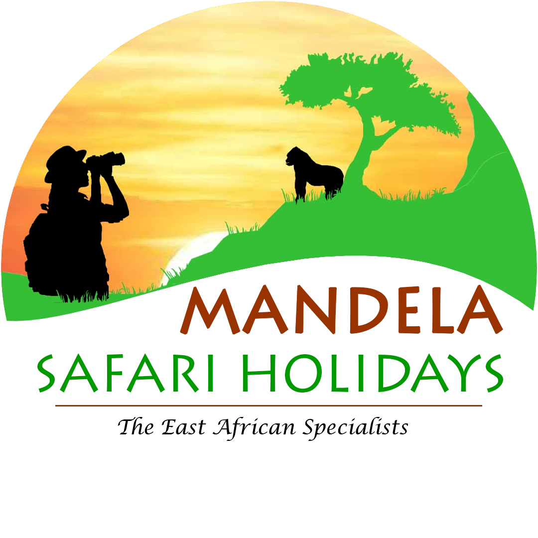 Mandela Safari Holidays