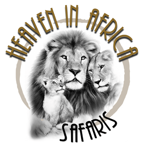 Heaven in Africa by Runway 86