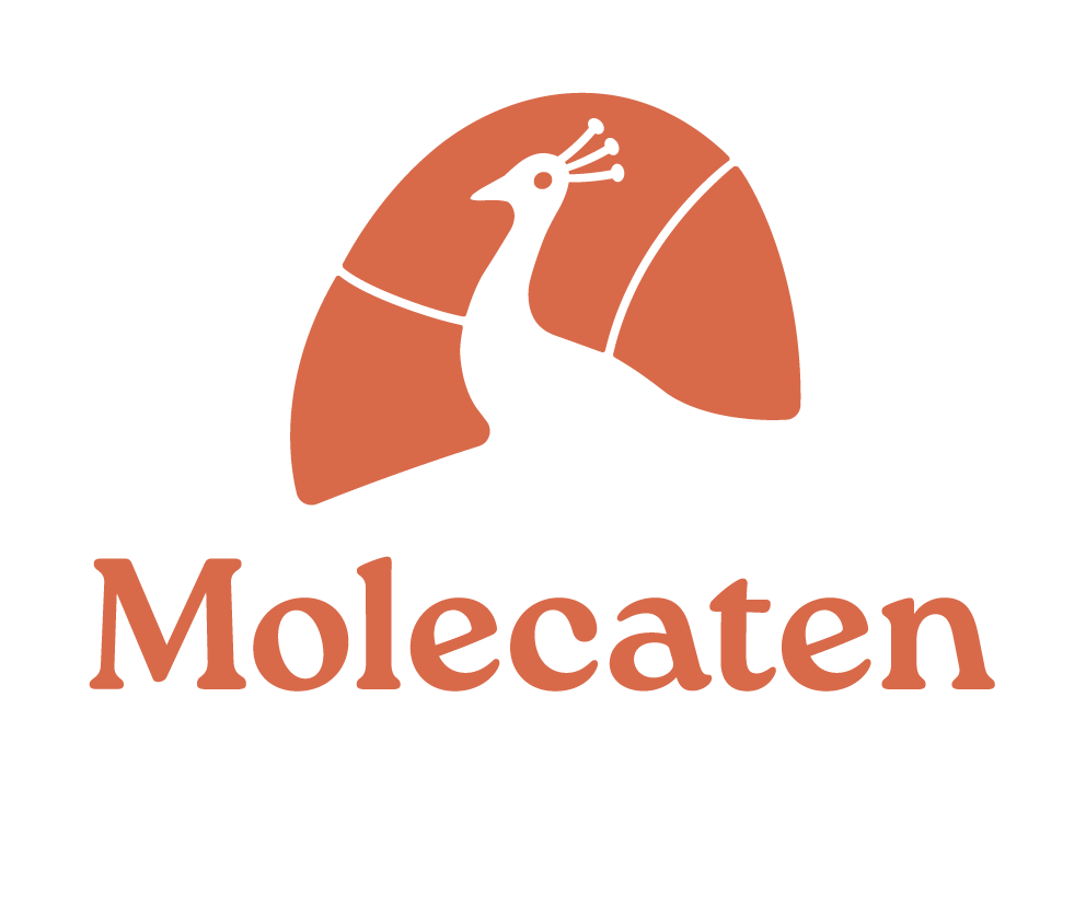 Molecaten