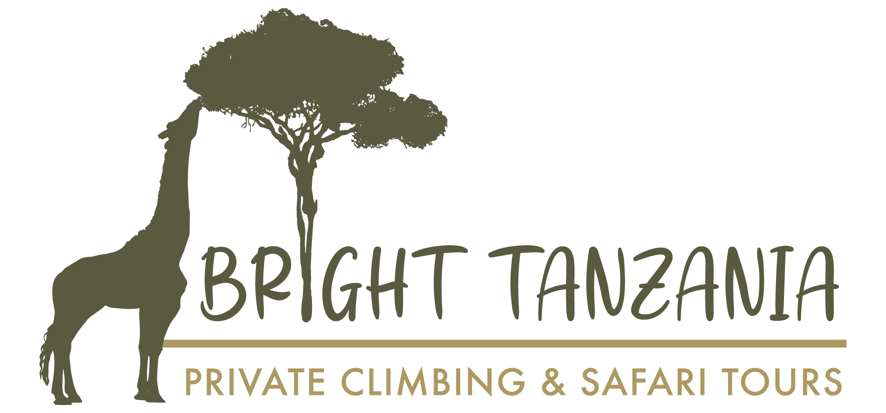 Bright Tanzania – Private climbing & Safari tours