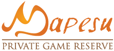 Mapesu private game reserve