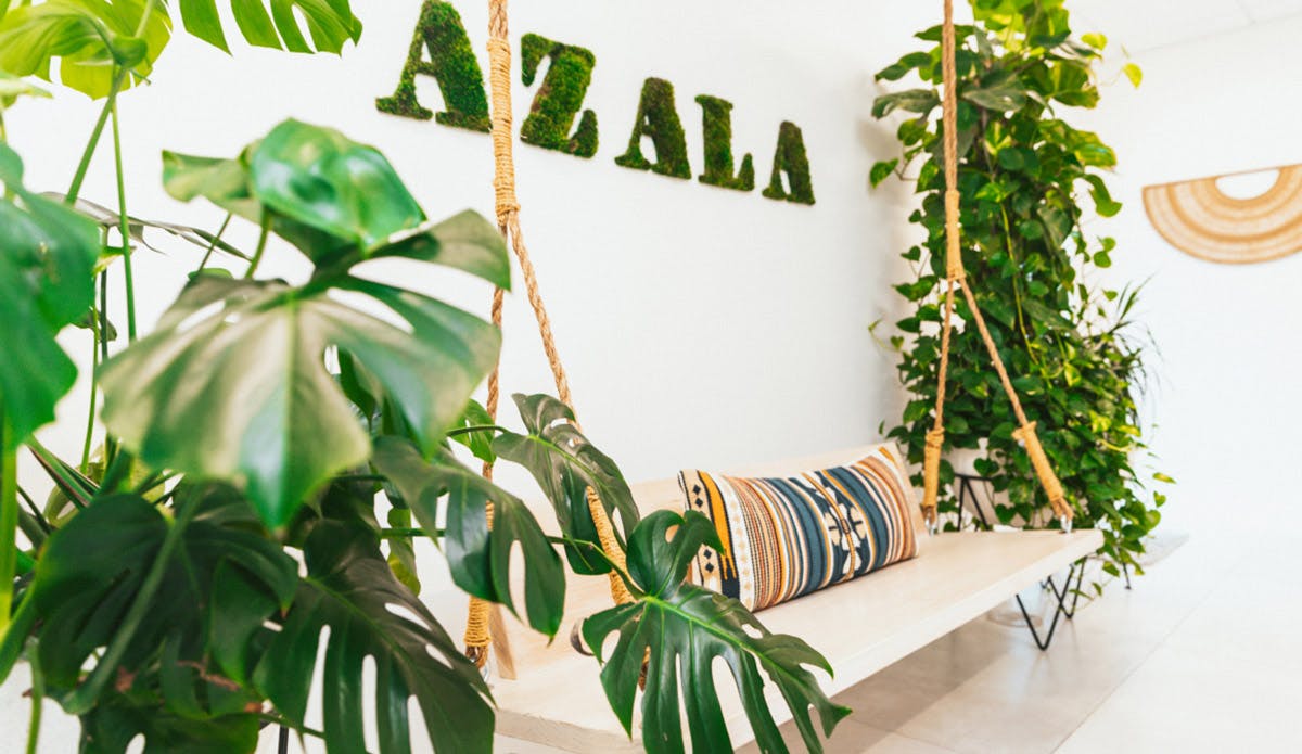 plants ina waiting room