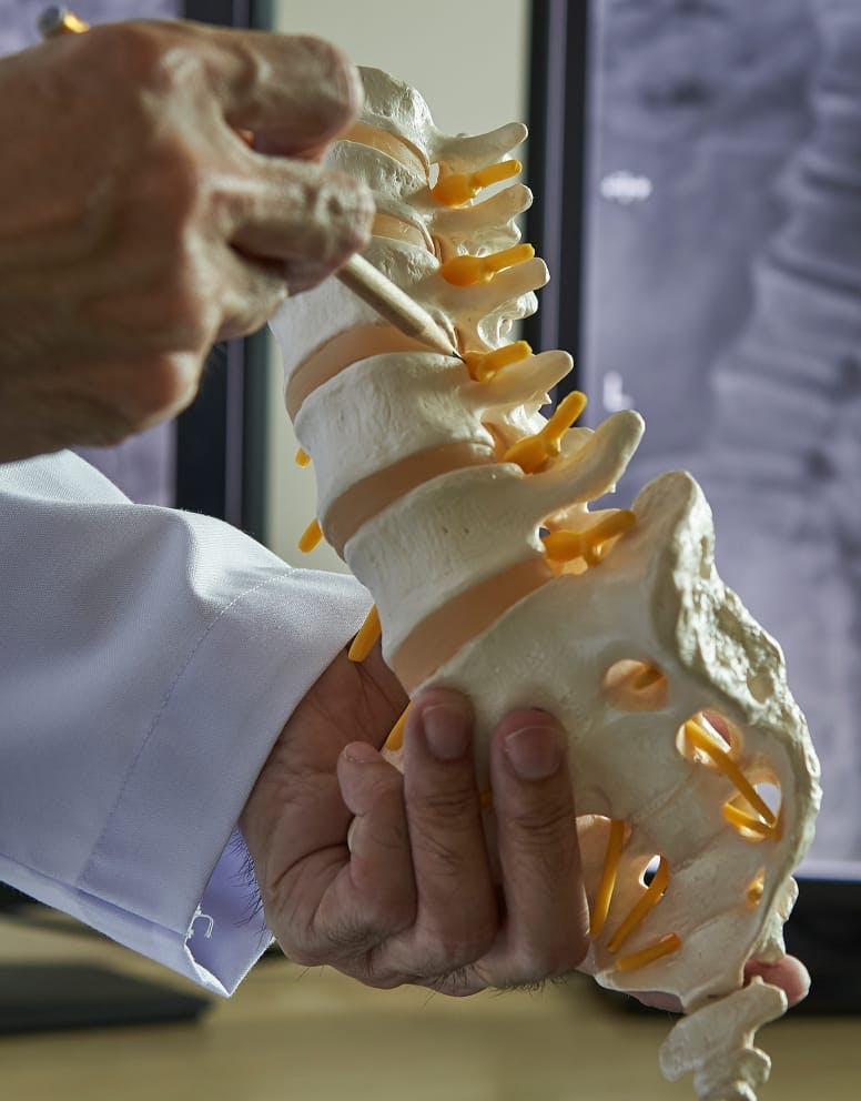 Artificial spine