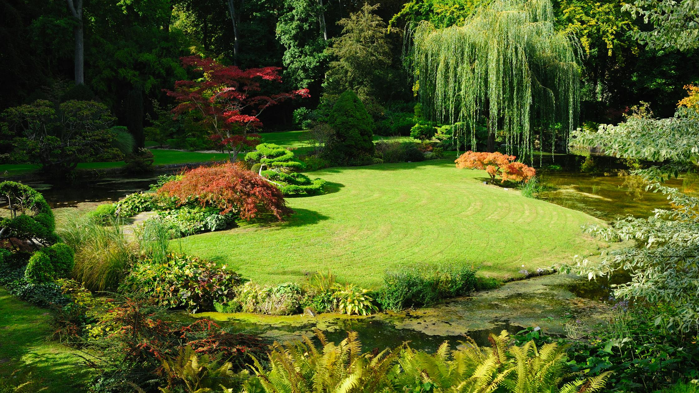 Paysagistes en Suisse : Créer votre jardin de rêve façon jardin paysager