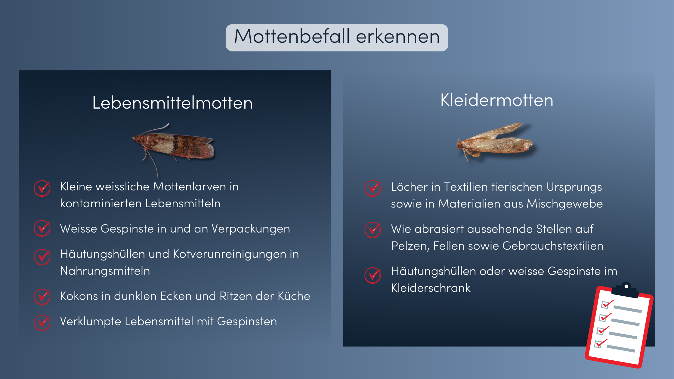 mottenbekämpfung lebensmittel vs kleidermotte