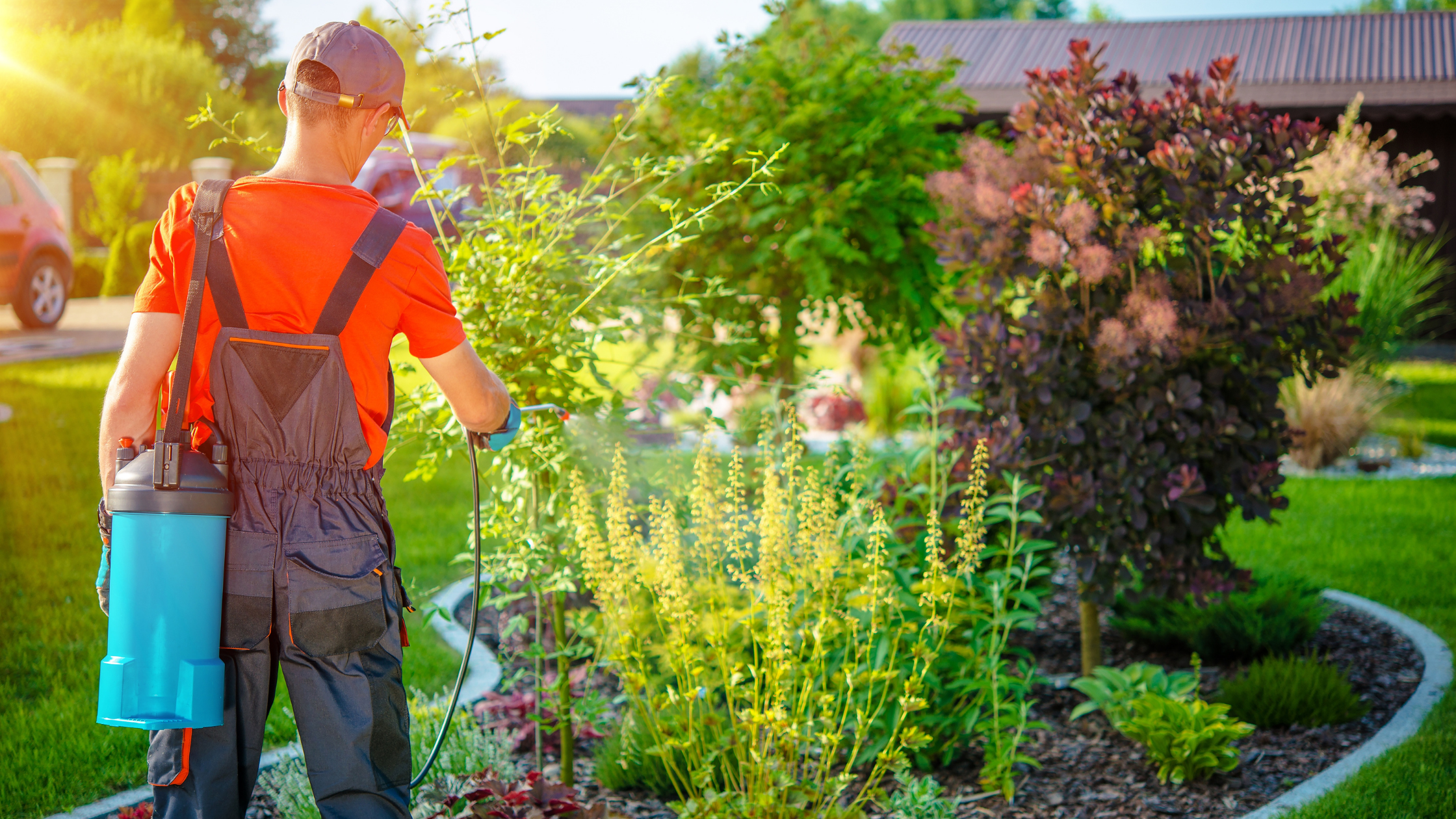 Gartenbarbeit Bewässerung