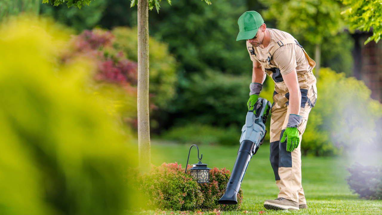 Gärtner gesucht Vertrauen Sie Ihre Gartenarbeiten Profis an