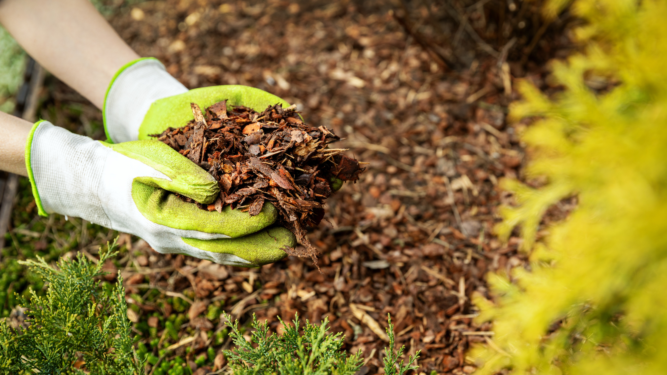 Gartenpflege Herbst Mulch