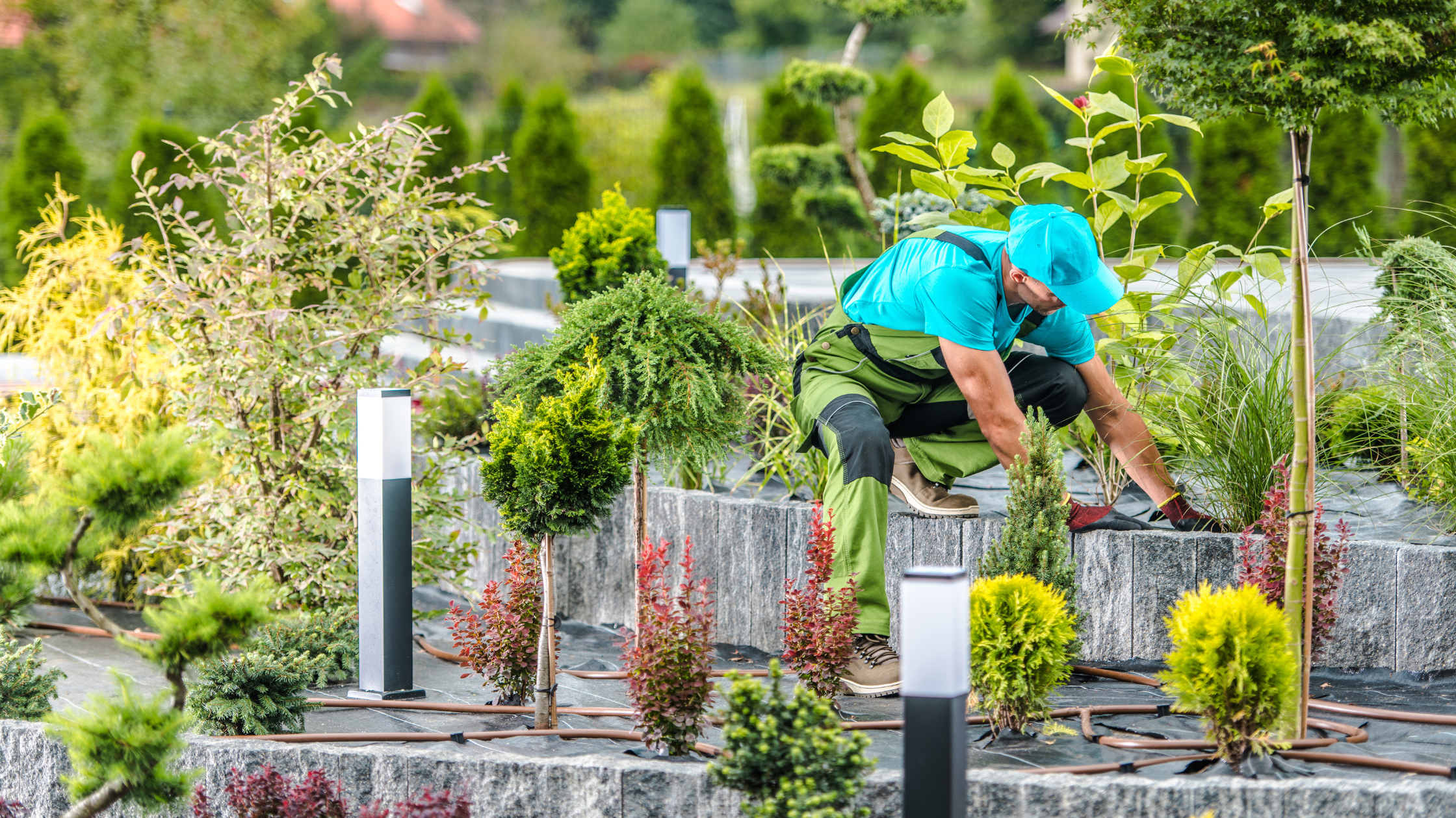 Garten und Landschaftsbau Header