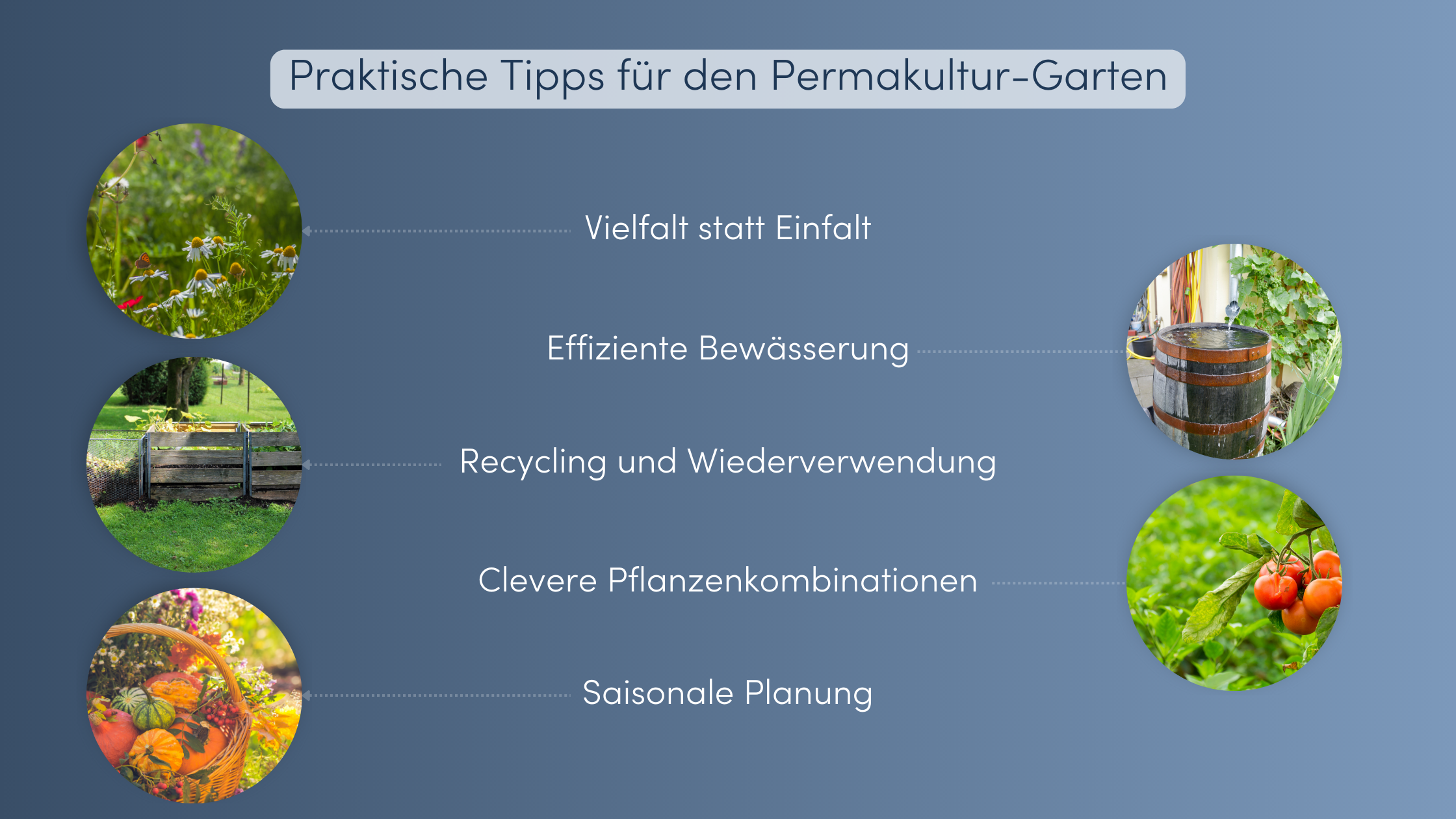 Permakultur Garten Tipps