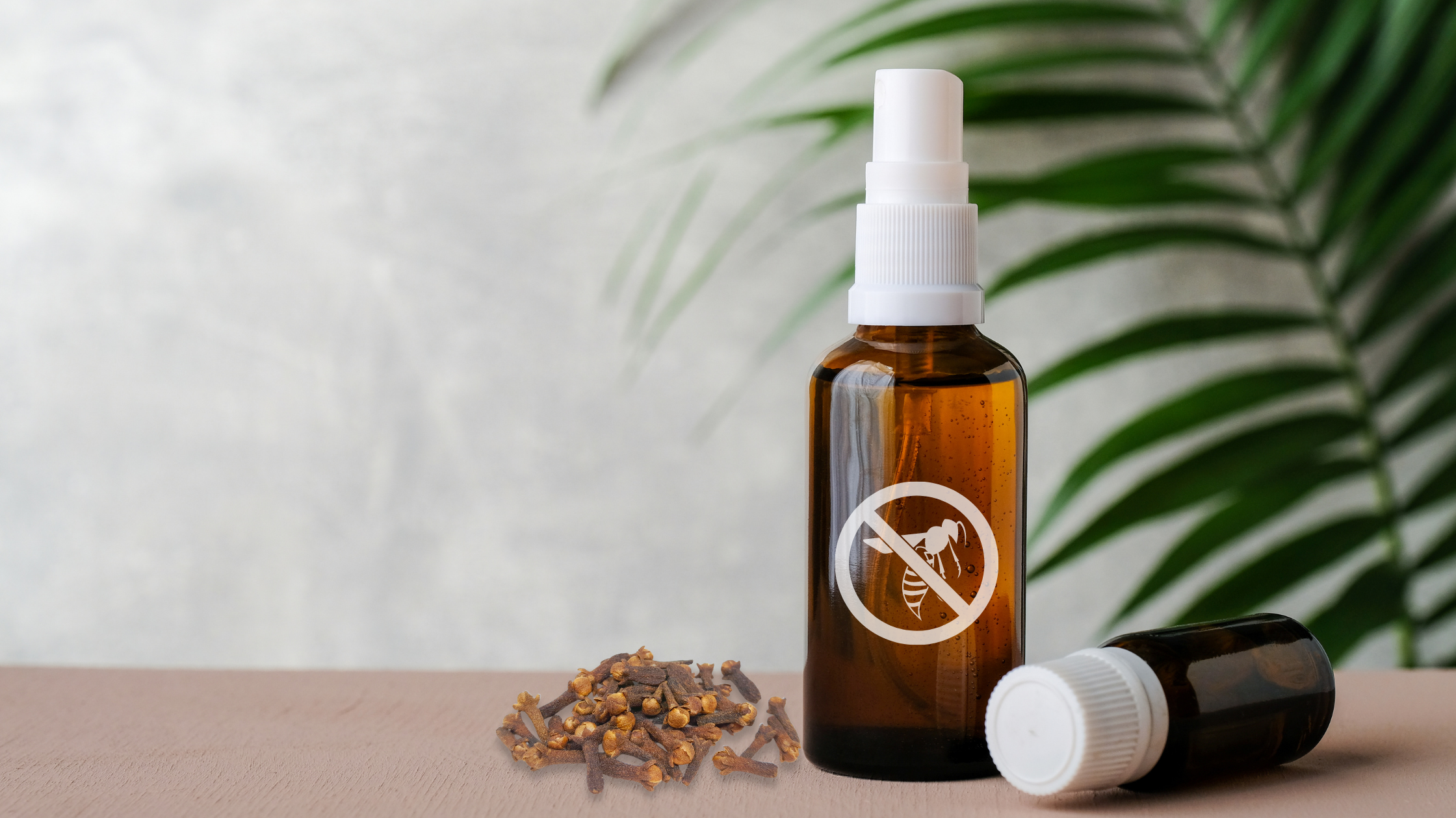 Wespen entfernen DIY repellent