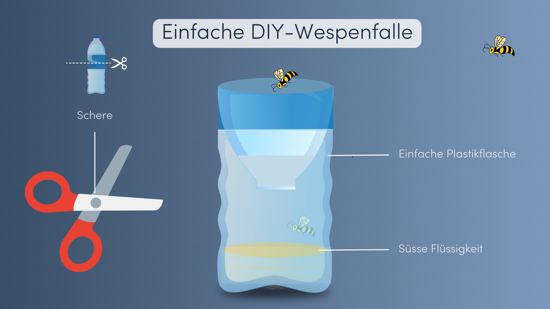 Wespen vertreiben Wespenfalle DIY