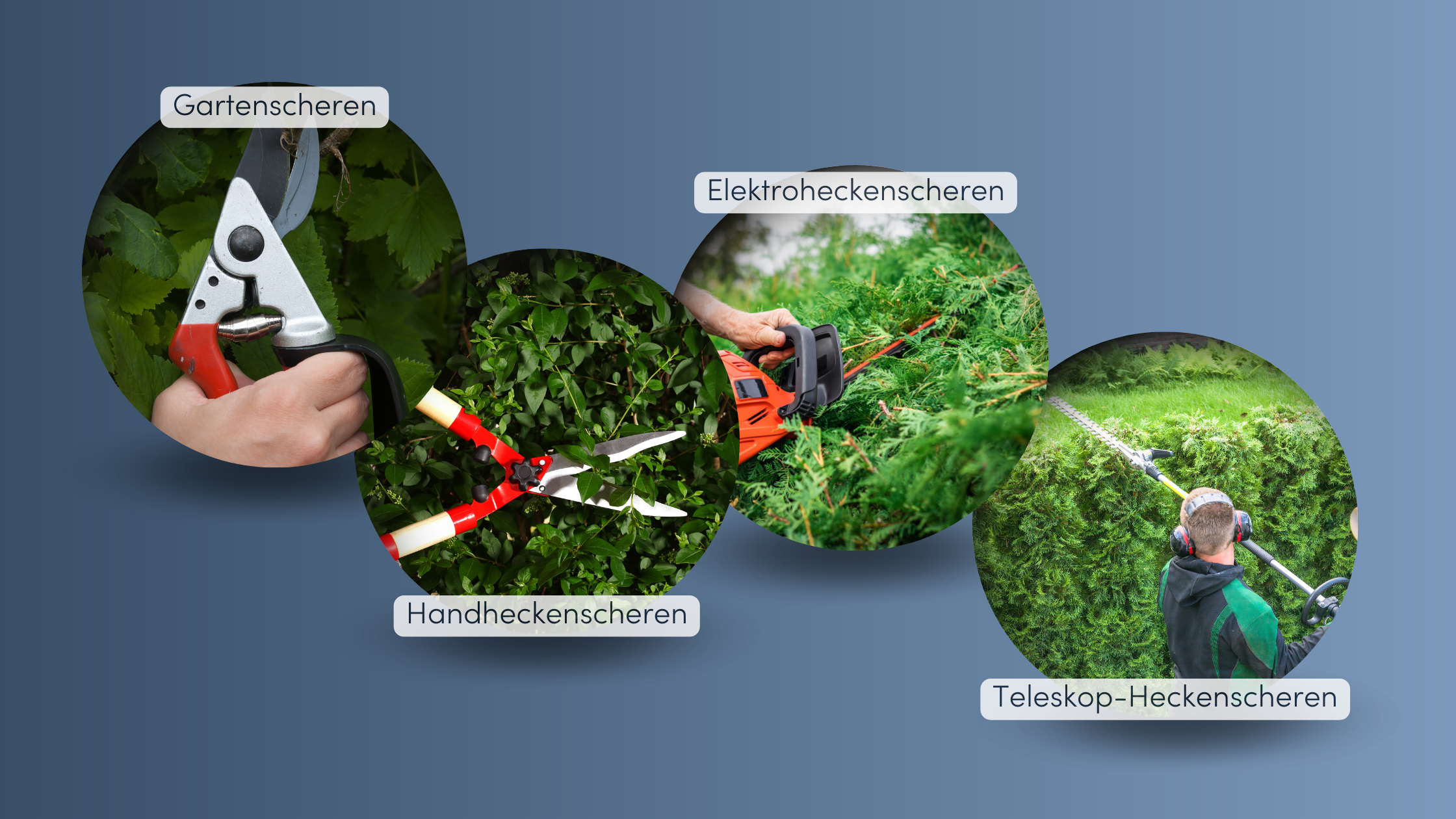 Wann Hecke schneiden Werkzeug