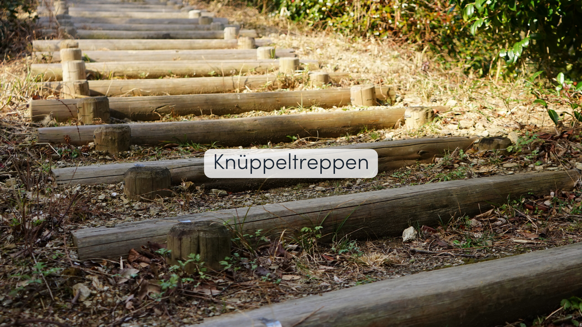 Gartentreppen Knüppeltreppen