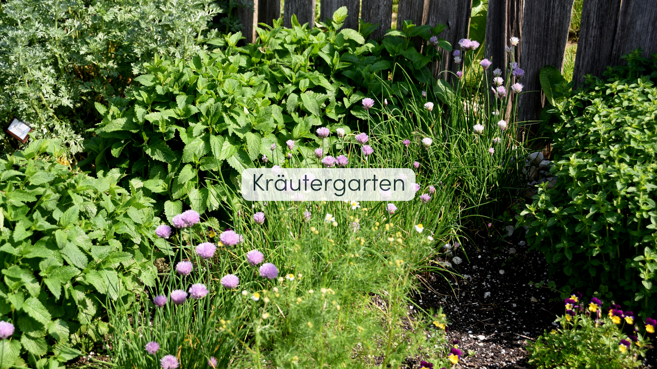 Garten Bepflanzung Kräutergarten